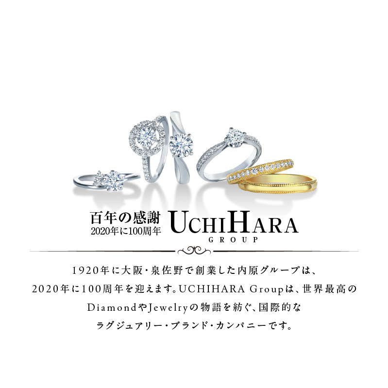 ARC-EN-CIEL プラチナ ダイヤリング（計 3.0ct）【鑑別書付き ジュエリー プレゼント ギフト ファッション アクセサリー 贈り物 贈答 お祝い 記念日】 J007-1_イメージ5