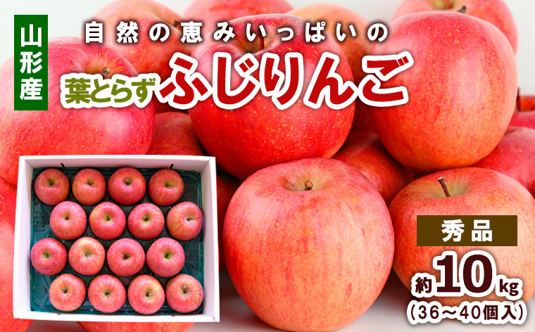 
            自然の恵みいっぱいの葉とらずふじりんご 約10kg(36個～40個) FY25-923
          