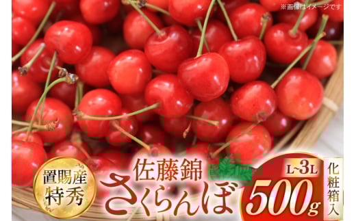 【期間限定発送】 さくらんぼ 置賜産 佐藤錦 特秀 L～3L 500g 化粧箱入り [JA山形おきたま 山形県 高畠町 tk06ays870048] サクランボ チェリー 山形 果物 フルーツ くだもの
