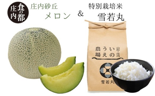 食の都庄内　庄内産《青肉》メロン2玉＆特別栽培米2kg「雪若丸」セット　※令和8年6月中下旬～8月上旬頃まで