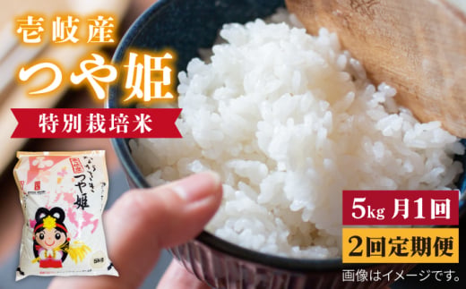 【全2回定期便】壱岐産　つや姫　5kg《壱岐市》【壱岐市農業協同組合】米 お米 ごはん 甘み 旨味 [JBO135] 30000 30000円