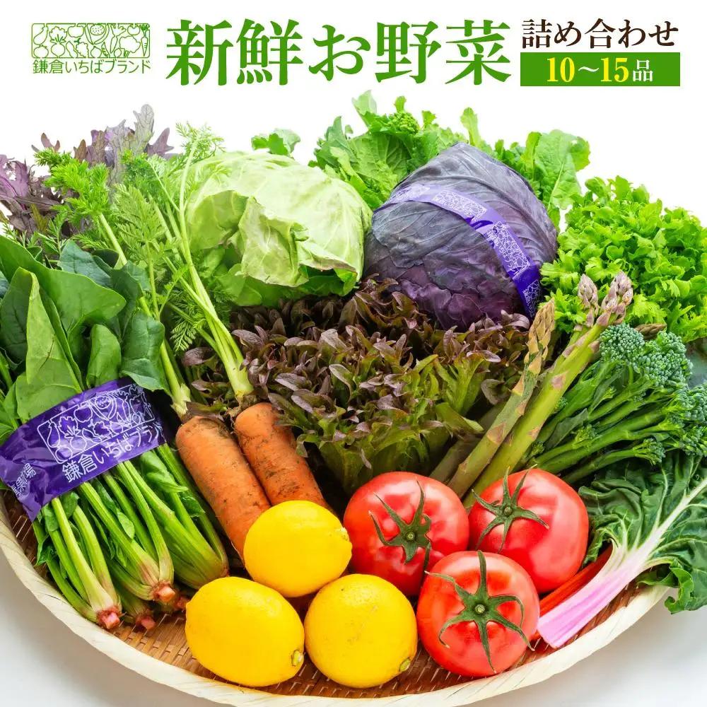 【ふるなびWEEK対象】「鎌倉いちばブランド」新鮮お野菜詰め合わせセット 10～15品 | 野菜 人気 詰合せ