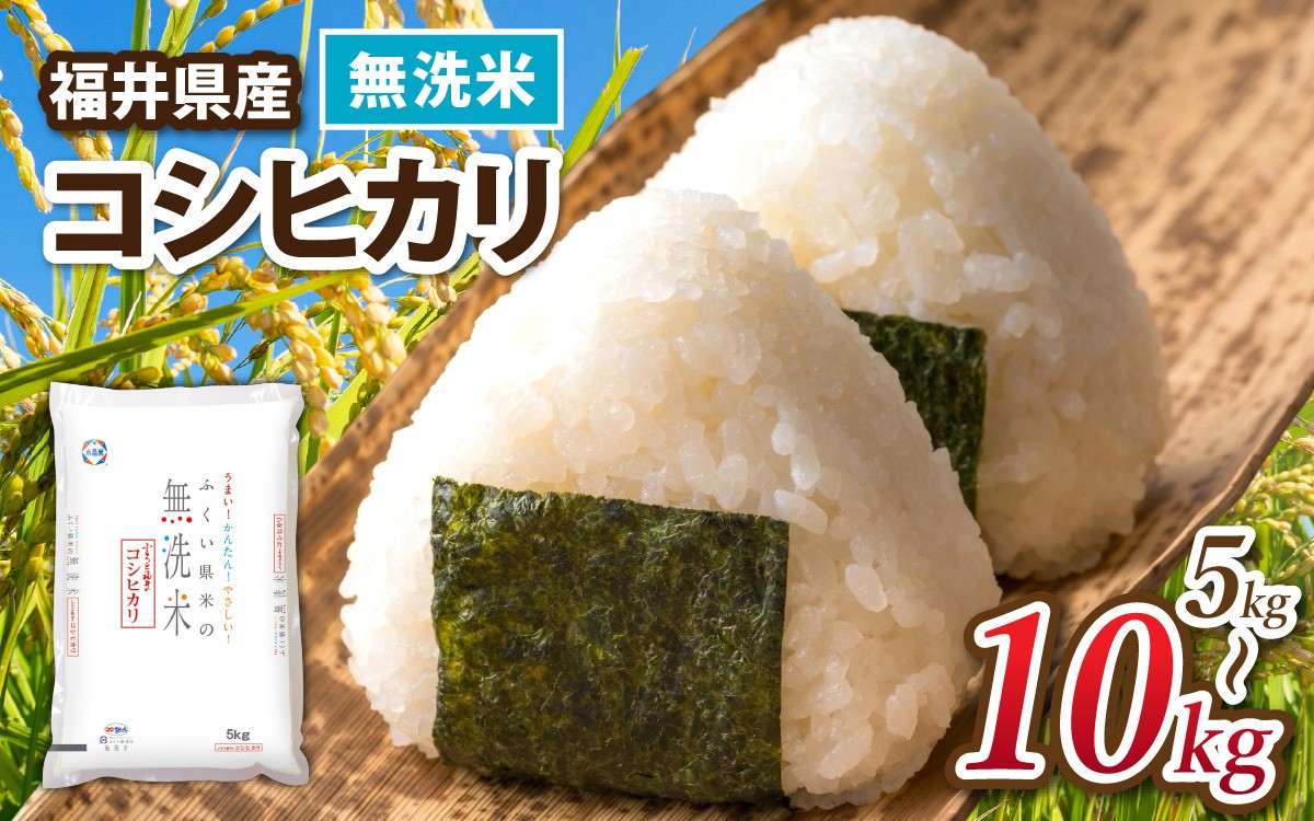 
                  【選べる容量】令和7年産 福井県産コシヒカリ【無洗米】 / 米 こめ お米 コメ ごはん ご飯 飯 七年 7年産 5kg 10kg 1袋 2袋 無洗米 白米 単一米 ブランド [A-014022-oya]
                