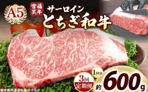 [定期便3回]宮福笑牛(とちぎ和牛) A5 サーロインステーキ 200g×3枚｜数量限定 黒毛 和牛 お肉 栃木県共通返礼品 栃木県産