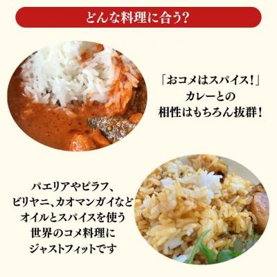 ふるさと納税 瀬戸内市 令和7年産 サリークイーン2.5kg 香り米  [No.5735-3480] |  | 02
