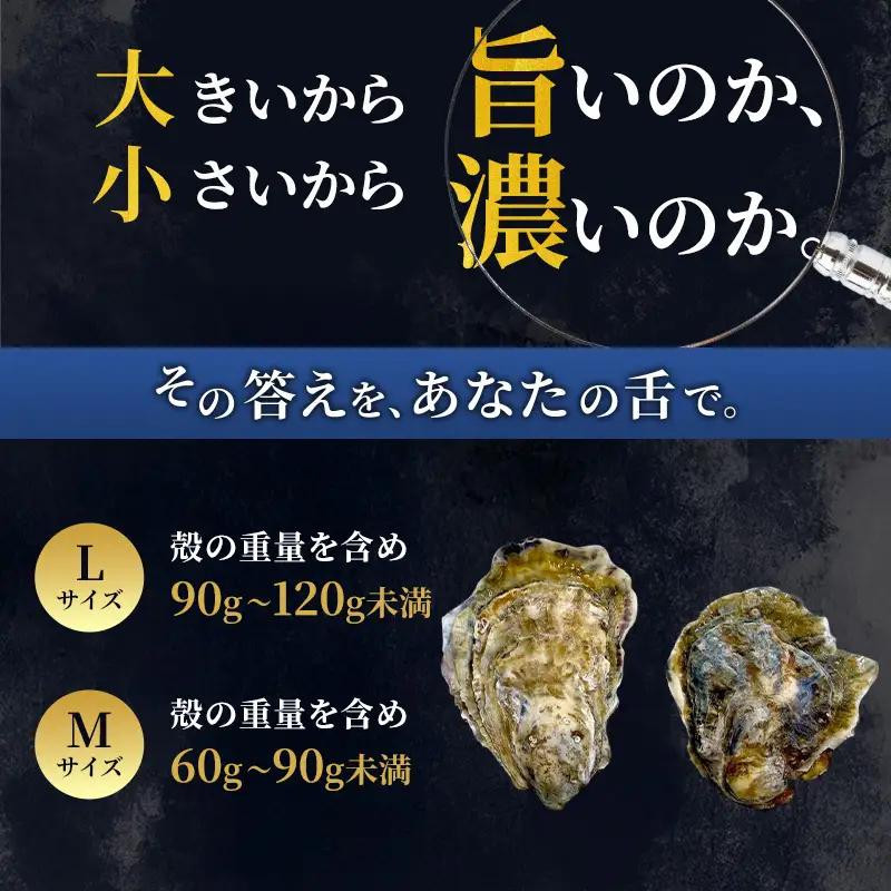 【 3ヵ月 定期便 】 厚岸産 ブランド 殻付カキ マルえもん 生食用 サイズ食べ比べ 12個 (L・M各6個)[ 魚貝類 生牡蠣 かき 牡蠣 カキ 生ガキ 食べ比べ ]