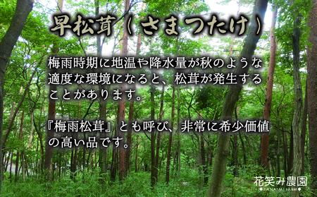 【2616-0480】岡山 花笑み農園 超希少！早『松茸』100g 梅雨の恵み (6月から7月発送)