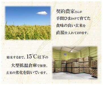 【令和7年産】栃木県こしひかり・とちぎの星食べ比べセット（精米・5kg×1袋ずつ）　※離島への配送不可