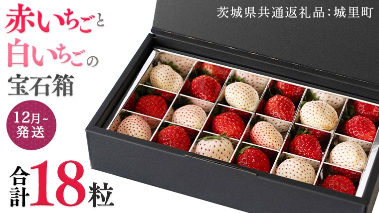 
                  赤いちご と 白いちご の宝石箱 18粒 【12月から発送開始】（茨城県共通返礼品 [いちご]：城里町産） 果物 フルーツ いちご イチゴ 苺 白苺 贈答 ギフト
                