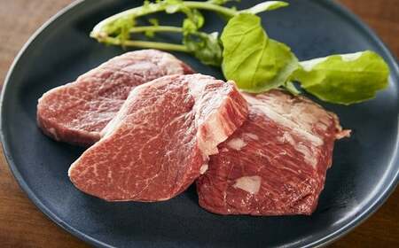 【10月配送】おおいた和牛ヒレステーキ450g|豊後高田市 ヒレ