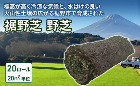 裾野芝（野芝）20ロール（20m2）単位　芝 芝生 ガーデニング DIY 庭 天然 天然芝 最高級 裾野市 静岡県