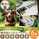 【ふるさと納税】＜増粘多糖類・食品添加物不使用＞愛犬用無添加レトルトパックセット6種(100g×48パック)牛肉 豚肉 鶏肉 魚 馬肉 鹿肉 野菜 犬用 フード 動物 犬 ドッグ ペット 餌 エサ おやつ ごはん ご飯 間食 ご褒美 ペット関係 常温 常温保存【Nフードサービス】