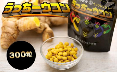 うっちーウコン粒 300粒