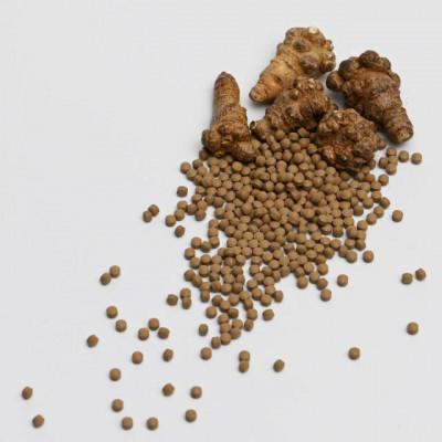 ふるさと納税 奈良市 発酵田七人参　「金不換」と称される貴重な高麗人参の仲間　60g(1.5g×40包) |  | 02
