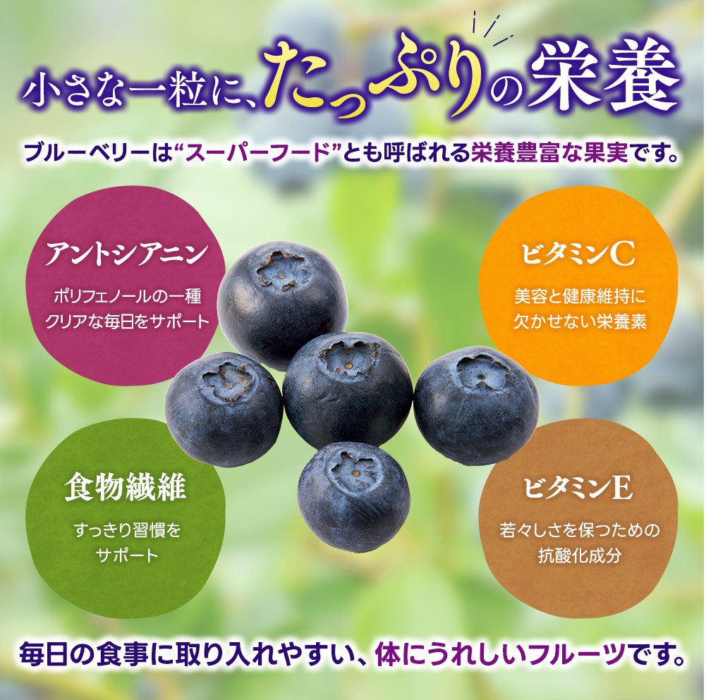 生果ブルーベリー 3㎏ 大粒 フルーツ 果物 くだもの スムージー ジャム 朝食 デザート 特産品 人気 国産 旬 金山パイロットファーム 三重県 熊野市【knpr0008A】