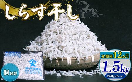 【定期便12回】しらす干し1.5kg ｼﾗｽｼﾗｽｼﾗｽ