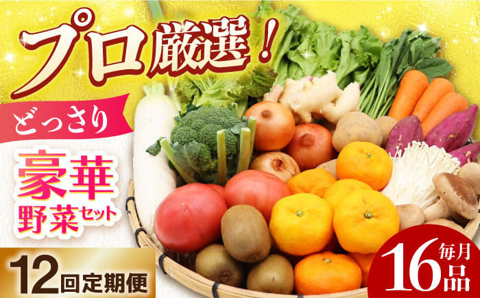 
【全12回定期便】 豪華！野菜 セット 16品目以上 野菜どっさりサイズ / 野菜 フルーツ きのこ 詰め合わせ 長崎県/吉岡青果 [42ACAF006]
