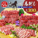 【ふるさと納税】定期便 回数選べる 3種の馬刺し 300g【赤身・フタエゴ・サガリ各100g】 3回 6回 配送 馬刺し 冷凍 馬肉 定番 熊本県 熊本 多良木町 ばさし 肉 3種 盛り合わせ バラエティ お取り寄せ グルメ 熊本県 多良木町 送料無料