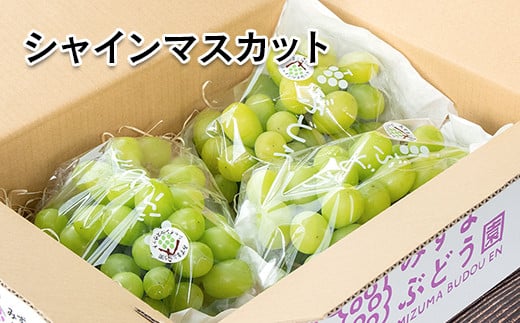 【先行予約】シャインマスカット約1kg 2～3房 西都産完熟ぶどう 水間ぶどう園＜16-2a＞