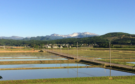 【農家の米こうじ味噌】750g×2パック 自家製の米糀と新潟県産大豆で作りました 味噌 みそ 手作り こうじ 新潟県産  [えちご三四郎] 【010S485】