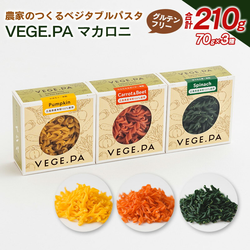 【ふるさと納税】農家のつくるベジタブルパスタ VEGE.PA マカロニ3種セット