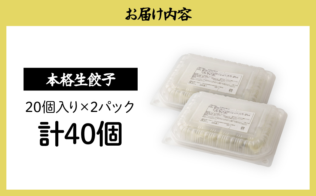 本格生餃子20個×2箱 餃子 40個 人気店の旨味あふれる冷凍餃子 | 大量 大容量 ギョウザ 冷凍餃子 ギョーザ 冷凍ギョウザ 冷凍 冷凍ぎょうざ ぎょうざ ぎょーざ おいしい 手軽 食べ比べ 美味