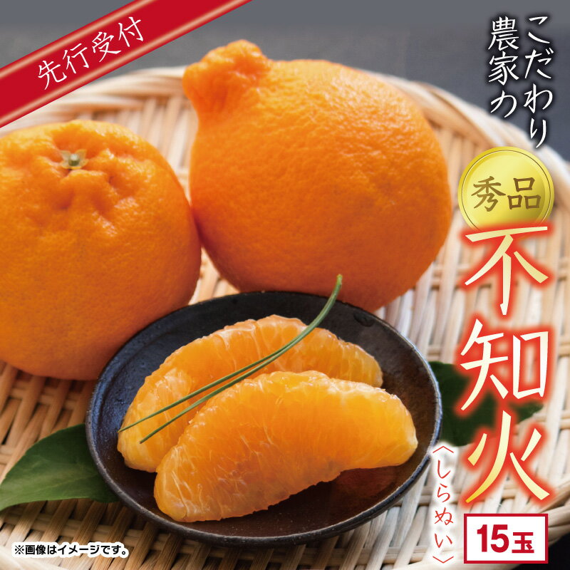 【ふるさと納税】こだわり農家の 秀品 不知火 15玉 大玉 蜜柑 みかん ミカン 果物 フルーツ ギフト 贈り物 プレゼント 柑橘 くだもの 長崎県 長崎市 青果 濃厚 甘い 柑橘類 贈答 県産 送料無料 【2026年4月上旬より発送開始予定】
