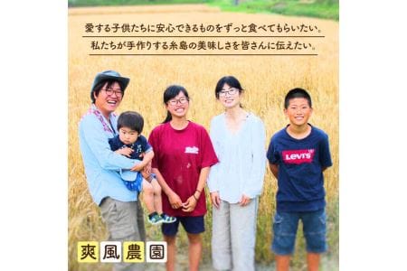 にんにく500g 大きい！美味しい！糸島からお届けする自慢のにんにくです（数量限定）《糸島》【爽風農園】【いとしまごころ】[AHZ001] 送料無料 にんにく ニンニク ガーリック 500g 数量限定