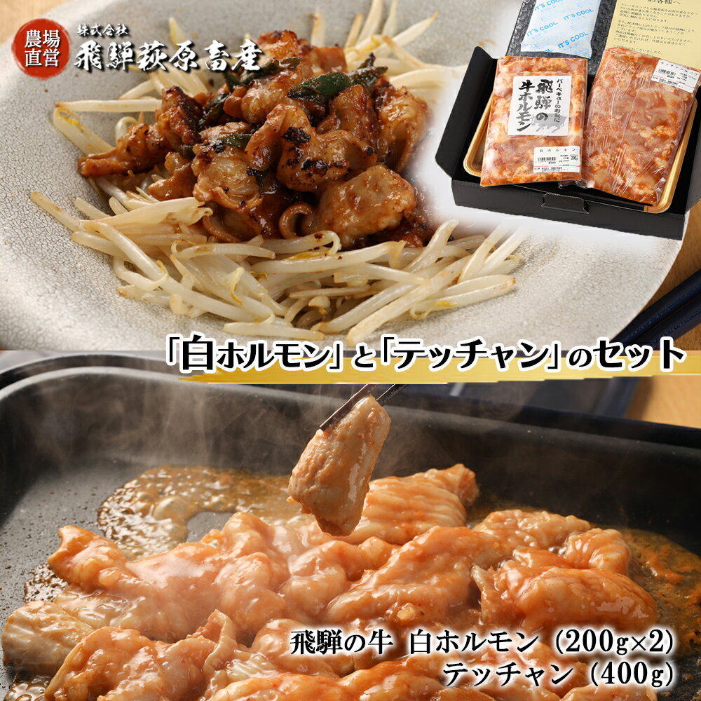 【ふるさと納税】飛騨の牛白ホルモン（200g×2袋）・テッチャン（400g）セット【冷凍】 国産 牛肉 ブランド牛 和牛 下呂温泉 飛騨 ギフト 贈り物 贈答 父の日 母の日 お中元 お祝い 牛ホルモン 18000円 岐阜県 下呂市