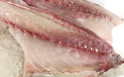 【お正月用】壱岐島産天然寒ブリ（8ｷﾛ台・3枚おろし） [JBS025]