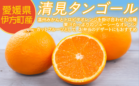 【先行予約】【家庭用】清見タンゴール 3kg ※北海道・沖縄・離島への配送不可（2027年3月11日より順次発送） IKTAT005 | 清見タンゴール