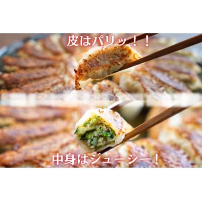 ふるさと納税 銚子市 子供が食べる!箸の止まらない美味しさ!アフロきゃべつ餃子 120個(30個入り×4袋) |  | 02