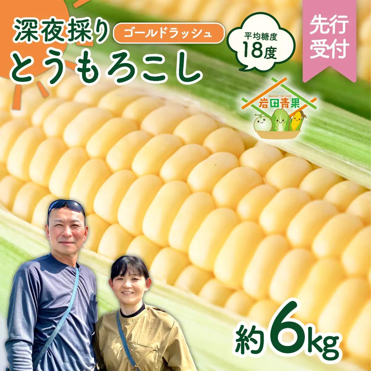 とうもろこし ゴールドラッシュ 6kg 茨城県産  トウモロコシ 深夜採り 朝出荷