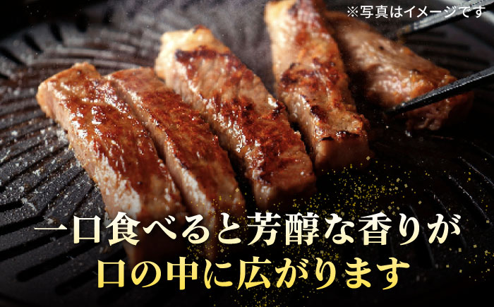 特選 壱岐牛 サーロインステーキ 200g×5枚《壱岐市》【太陽商事】[JDL022] 肉 牛肉 サーロイン ステーキ サーロインステーキ 赤身 焼肉 焼き肉 66000 66000円 のし プレゼン