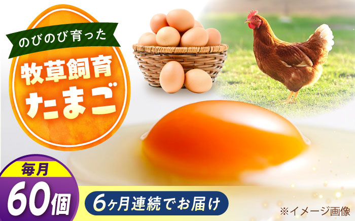 【全6回定期便】天心山 たまご 60個（10個入り×6パック） 卵 たまご 高級 食品 たまごかけご飯 卵かけご飯 卵焼き 生卵 濃厚 ケーキ お菓子 づくり ランキング 上位 人気 おすすめ 定期便　広島県福山市/天心山ファーム [BABW039]