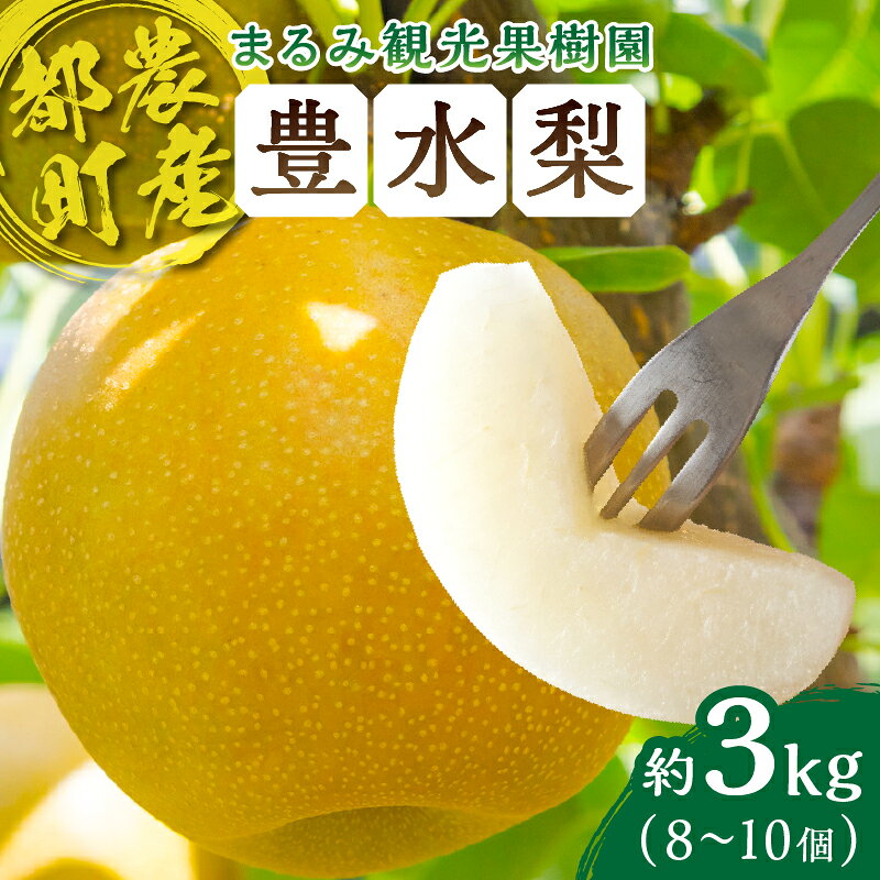 【ふるさと納税】先行予約 期間限定 まるみ観光果樹園の 豊水梨 約3kg 安心 安全 天然ミネラル栽培 デザート フルーツ 季節の果物 旬 おいしい 甘い ジューシー 食品 おやつ 国産 おすすめ 人気 お取り寄せ お土産 おすそ分け 贈り物 宮崎県 都農町 送料無料
