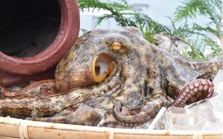 0C3-171 船上活締め！！生真ダコ ぶつ切り（200g×5P）