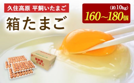 久住高原 平飼いたまご 箱たまご 10kg 160~180個入 ※破損保証5個含む