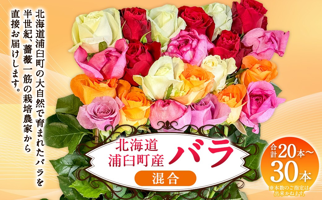 
                  バラ 混合（20‐30本）| 花 バラ 薔薇 生花 ローズ 贈り物 プレゼント ギフト【2026年11月下旬頃迄発送予定】
                