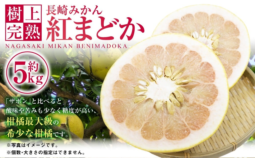 
                  【樹上完熟】長崎みかん（紅まどか）約5kg みかん フルーツ 果物 くだもの ミカン 蜜柑 長崎  【2026年2月上旬-4月下旬発送予定】
                