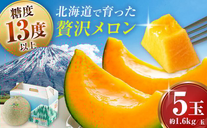 
            【先行予約】  北海道産 ようていメロン 赤肉 5玉 (約1.6kg/玉)  ※2025年8月下旬以降順次発送 《喜茂別町》【Aコープようてい】 メロン めろん 赤肉 赤肉メロン 贈答 贈答用 先行予約 デザート フルーツ 果物 常温 常温配送 北海道 甘い ギフト プレゼント 産地直送 産直 贅沢 ぜいたく ご褒美 特別 季節限定 [AJAK005] 27000 27000円
          