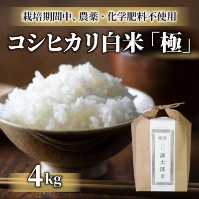 ふるさと納税 東御市 【太陽と大地】令和7年産「八重原産コシヒカリ白米「極」(栽培期間中農薬化学肥料不使用)4kg」