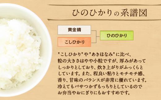 【令和7年産】竹田産名水育ち ひのひかり 5kg