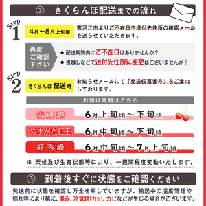 《先行予約》令和8年産 さくらんぼ 「紅秀峰」 秀品 1kg（500g×2） L~2Lサイズ 山形県産 2026年産 【2026年6月中旬頃～7月上旬頃発送予定】 ※配送不可 沖縄・離島 034-A-