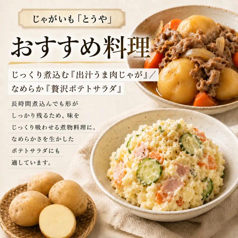 有機じゃがいも とうや 12kg 秋出荷 じゃがいも