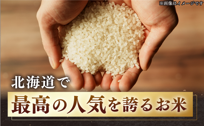 お米 精米 白米 北海道 ブランド米 特A 定期便 北海道産