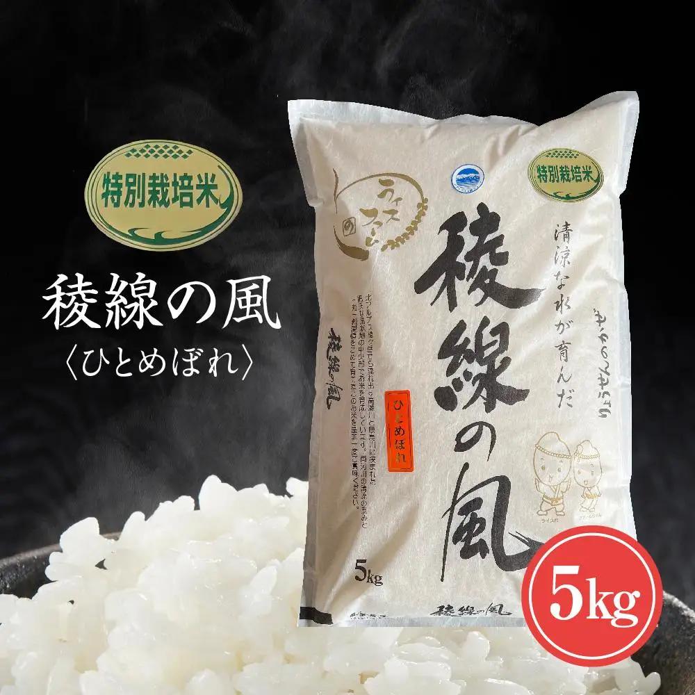 特別栽培米　稜線の風（ひとめぼれ） 5kg | 米 長野 信州
