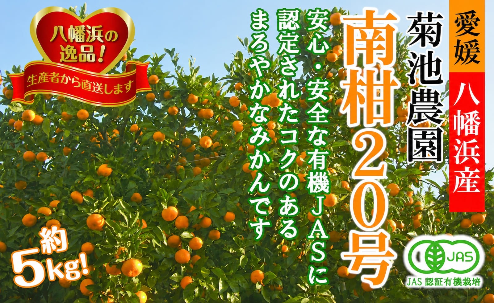 
                  【先行受付】【JAS認証有機栽培】濃厚な味わいの温州みかん!!菊池農園「南柑20号」5kg【C39-23】【1044610】 YWTF011
                