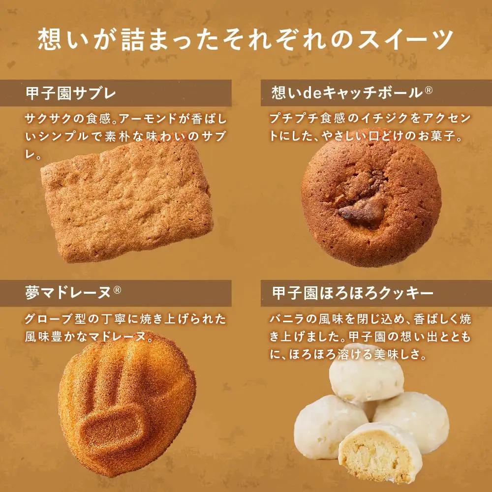 【西宮市の洋菓子】パティスリーベルン特製　甲子園スペシャルセット　洋菓子
