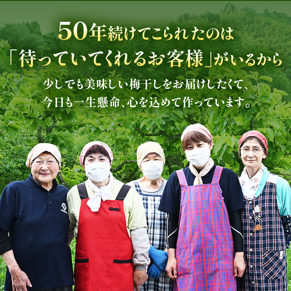 TH-03 40年作り続けてきた無添加梅干し（大梅）と赤しそふりかけのセット